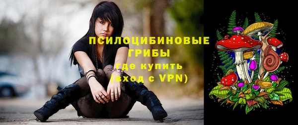 ECSTASY Алзамай
