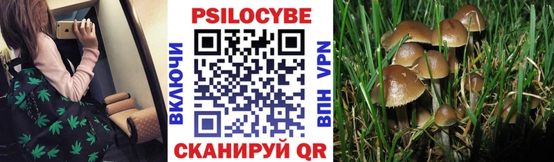 где можно купить   Бирюч  МЕГА ССЫЛКА  Галлюциногенные грибы Magic Shrooms 