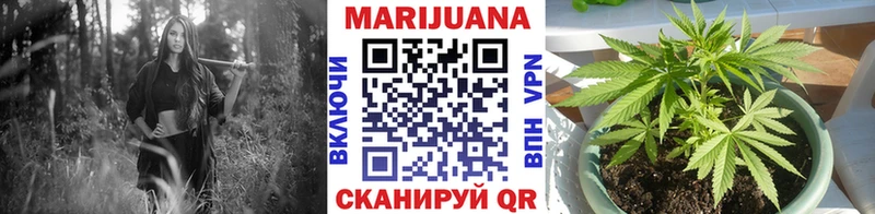 Каннабис семена  Бирюч 
